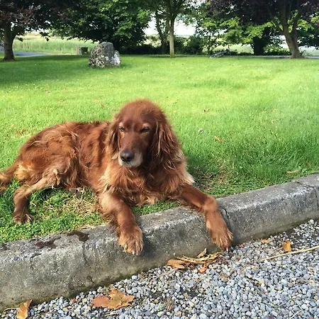 Bed & Breakfast Inny Bay